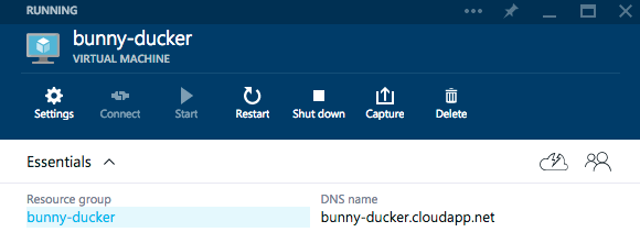 Host VM in Azure Portal